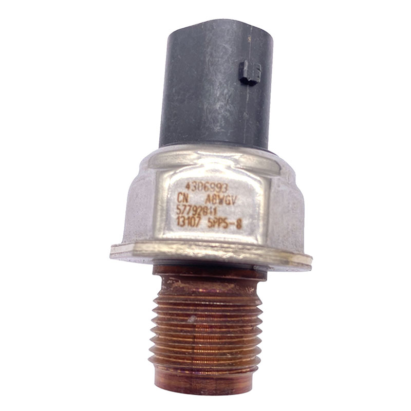 Fuel Rail Drucksensor 4306993 für Dodge