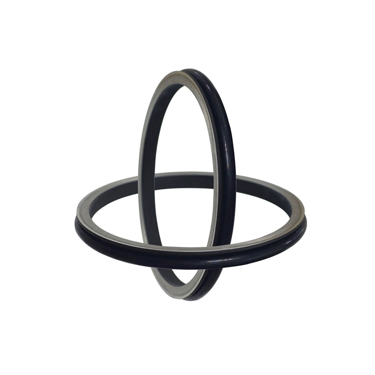 Schwimmende Dichtungsgruppe 4066695 für John Deere