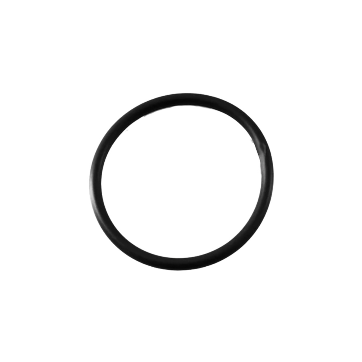 Ölkühlerdichtung O-Ring 1824735C1 für Navistar International