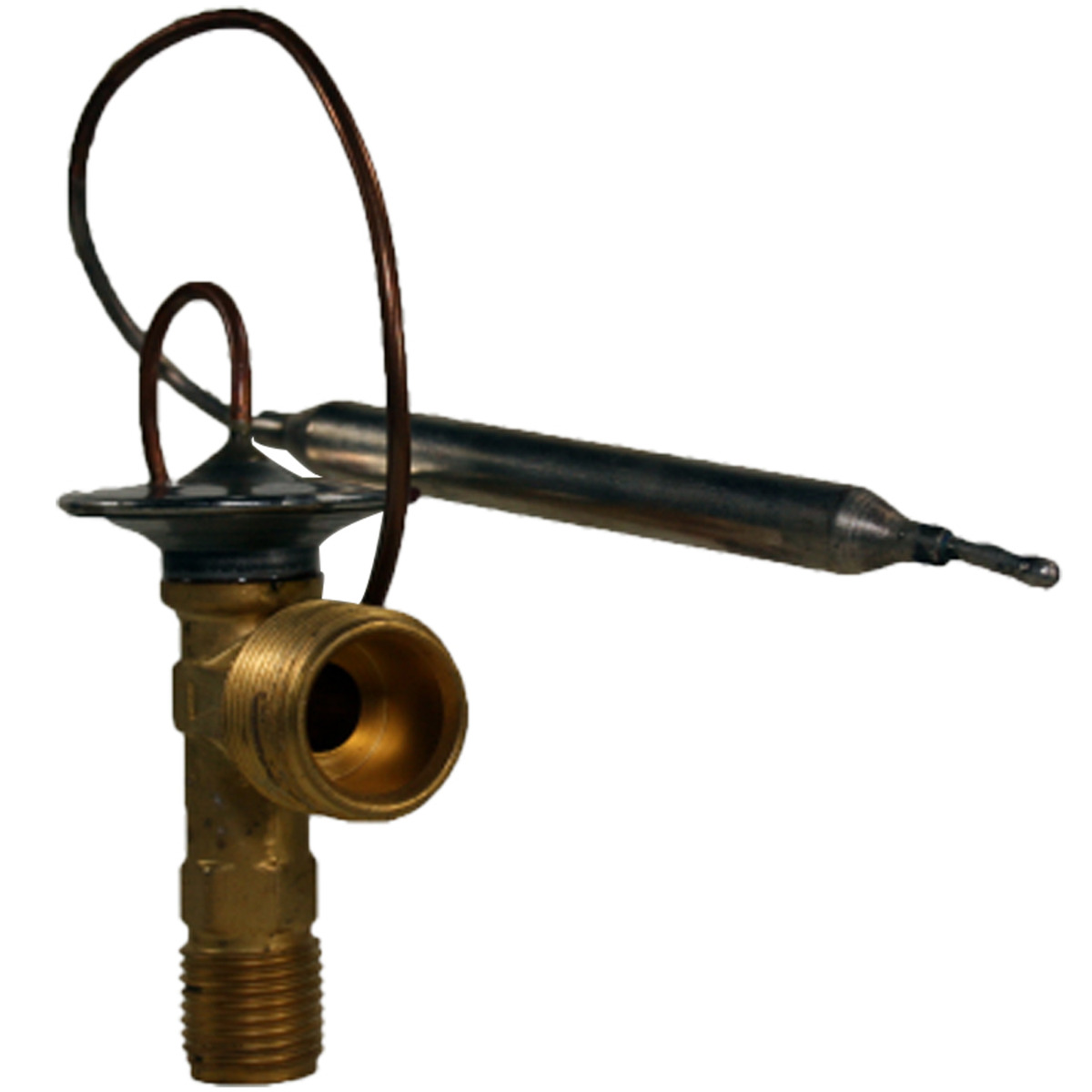 Expansionsventil 163174A1 für Case