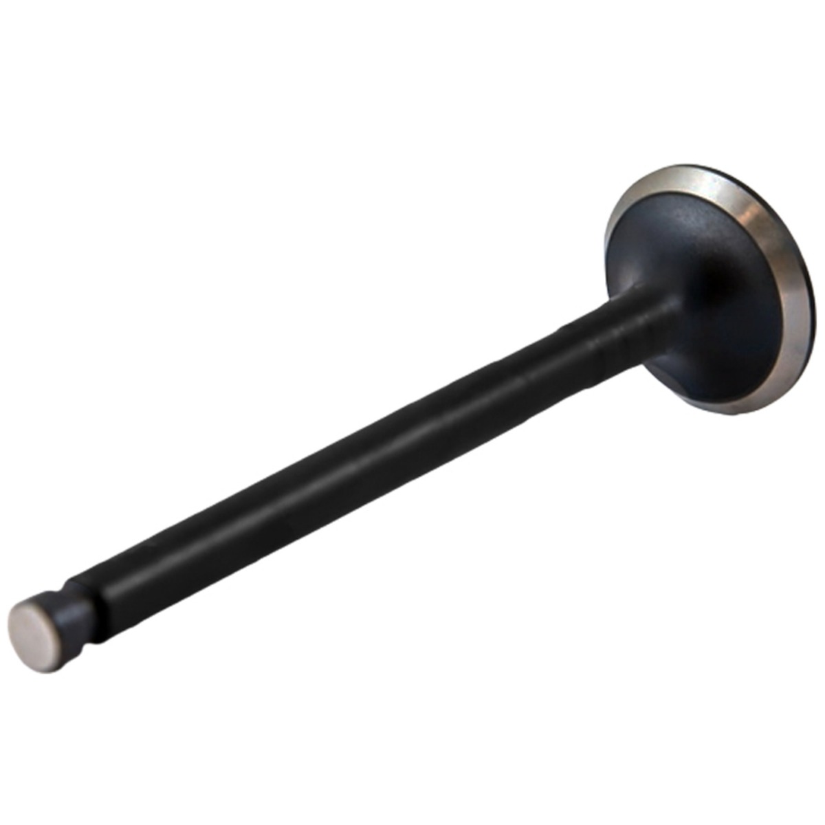 Kopf Auslassventil 11-8930 für Thermo King