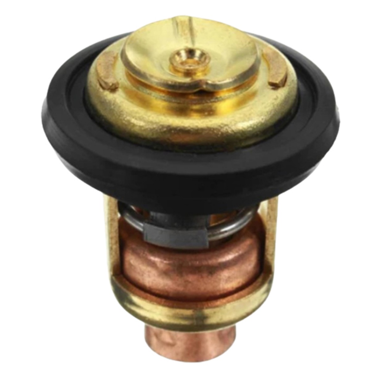 Thermostat 825212001 für Mercury