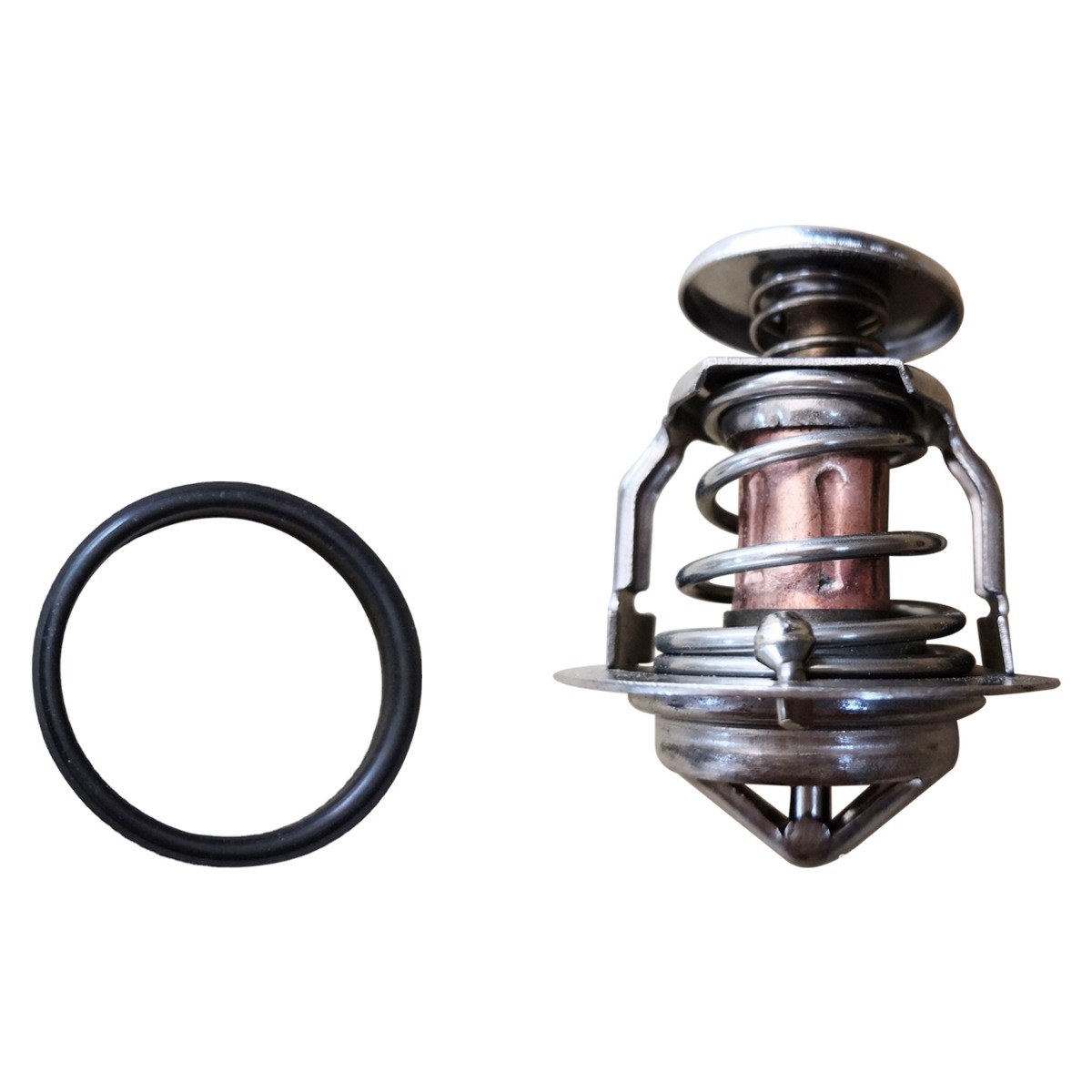 Ölpumpenrotor-außen 13-328 Thermo King Motor