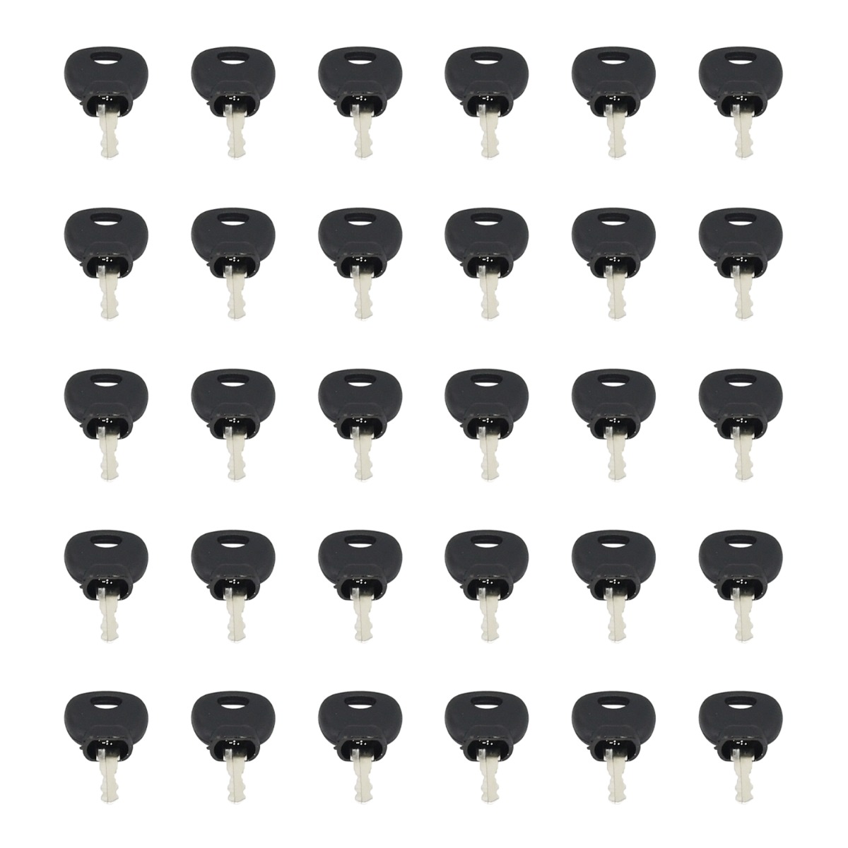 30 PCS Zündschlüssel 70022765 für SkyTrak