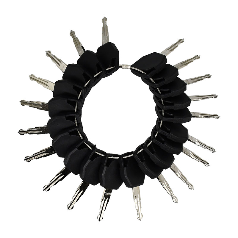 20 Stück Zündschlüssel 81404 für Terex