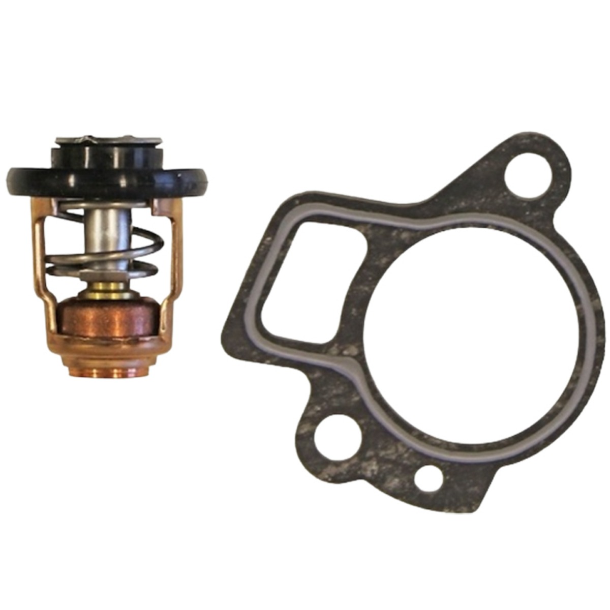 Kit Termostato Per Fuoribordo Mercury Mariner 4T, 60°C, Con Guarnizione 27-824853, Ricambio 825212T02