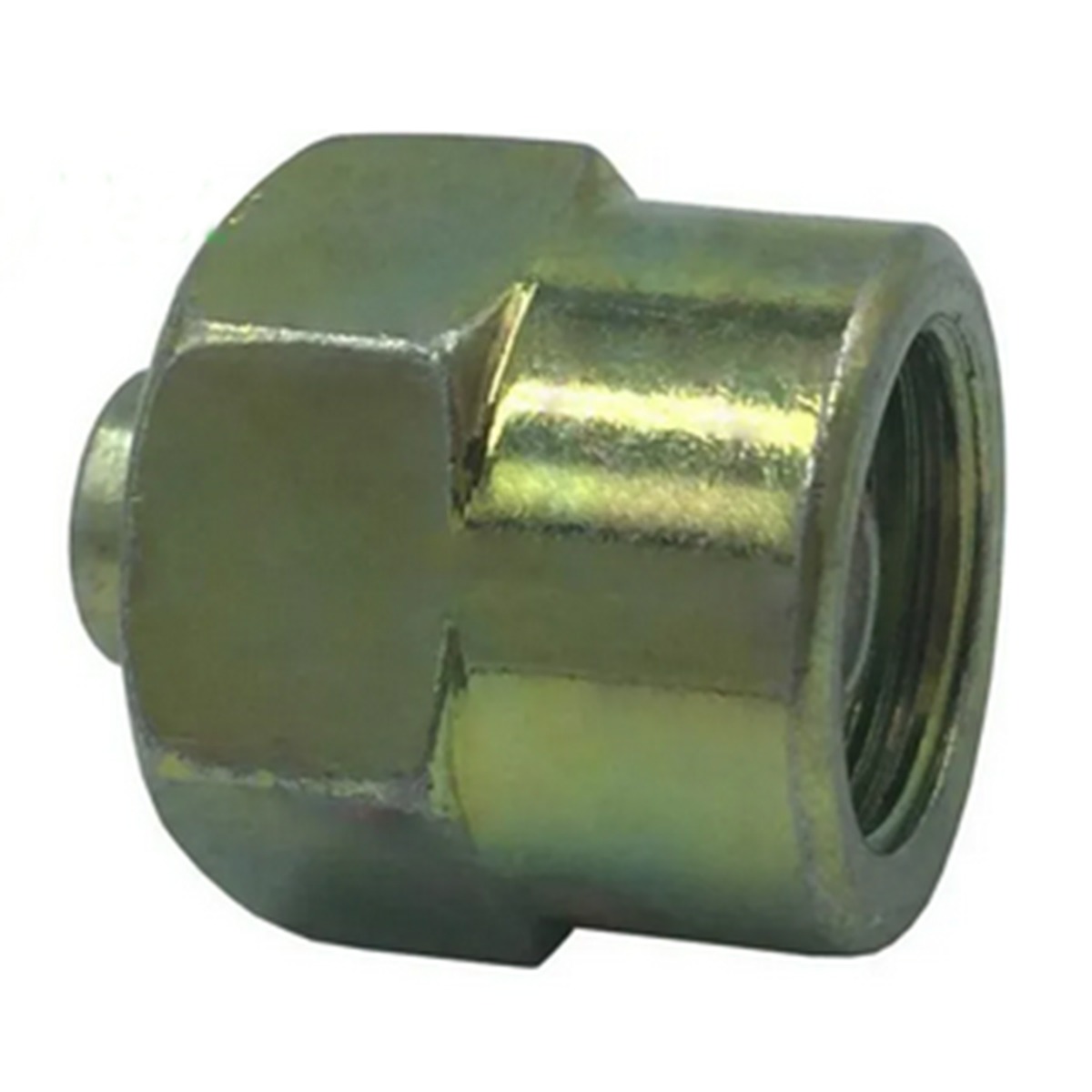 Kraftstoffeinspritzkappe Block Off Tool für GMC main product photo