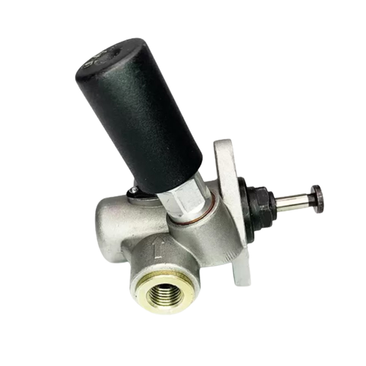 Kraftstoffförderpumpe 0440008089 für DAF