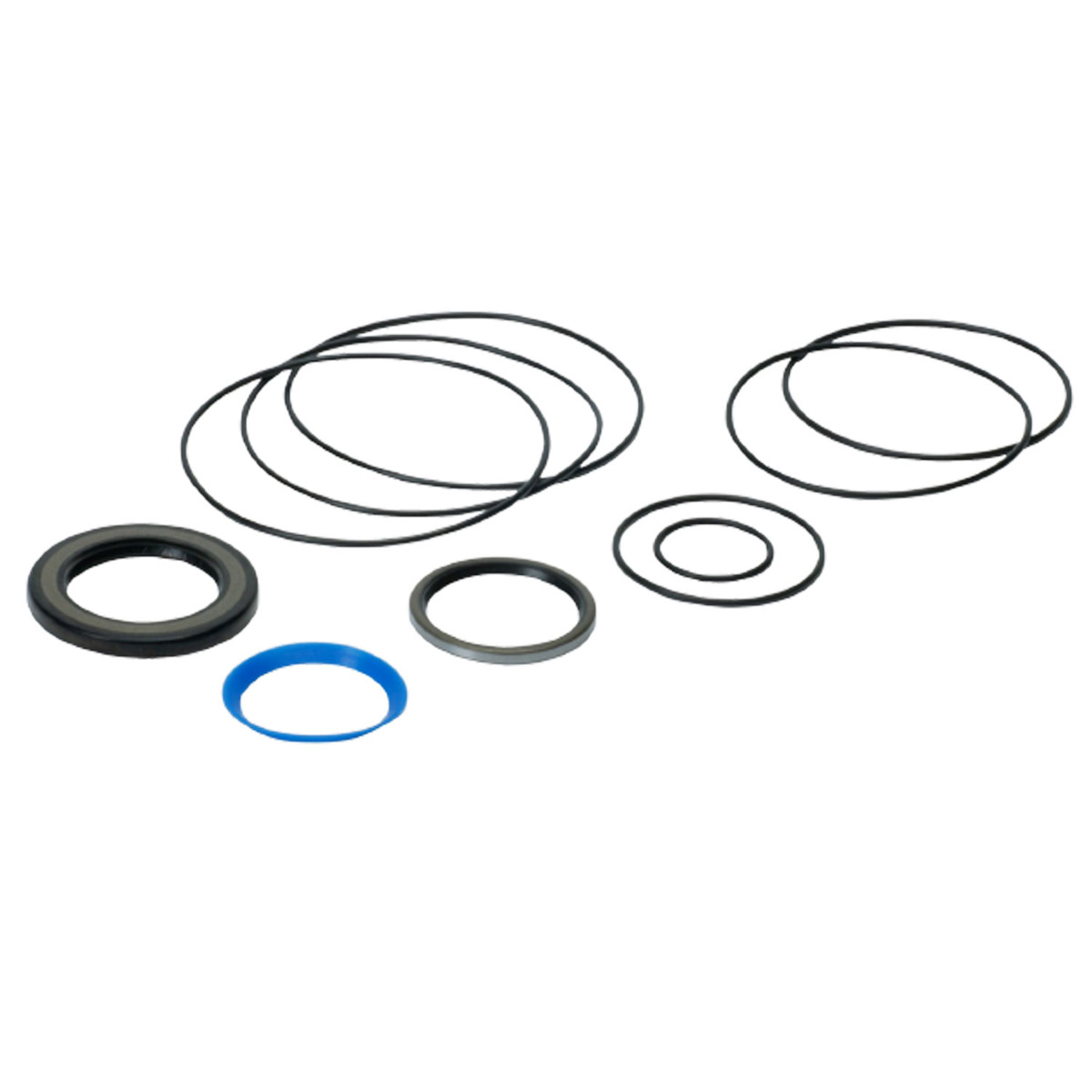 Dichtungssatz 151F0111 für Sauer Danfoss