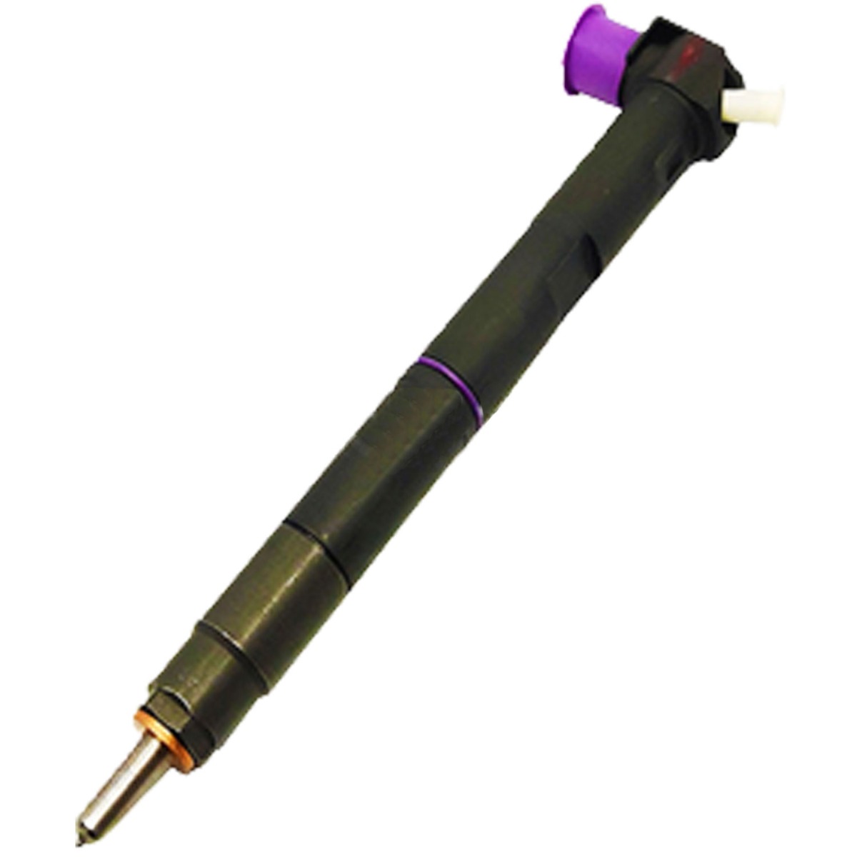 Einspritzventil EMBR00203D für Delphi