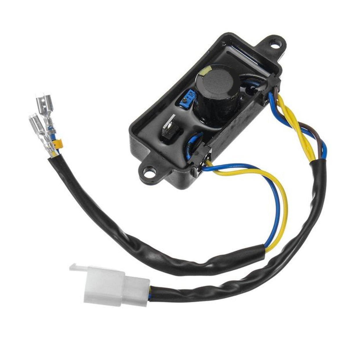 Automatischer Spannungsregler für BlackMax