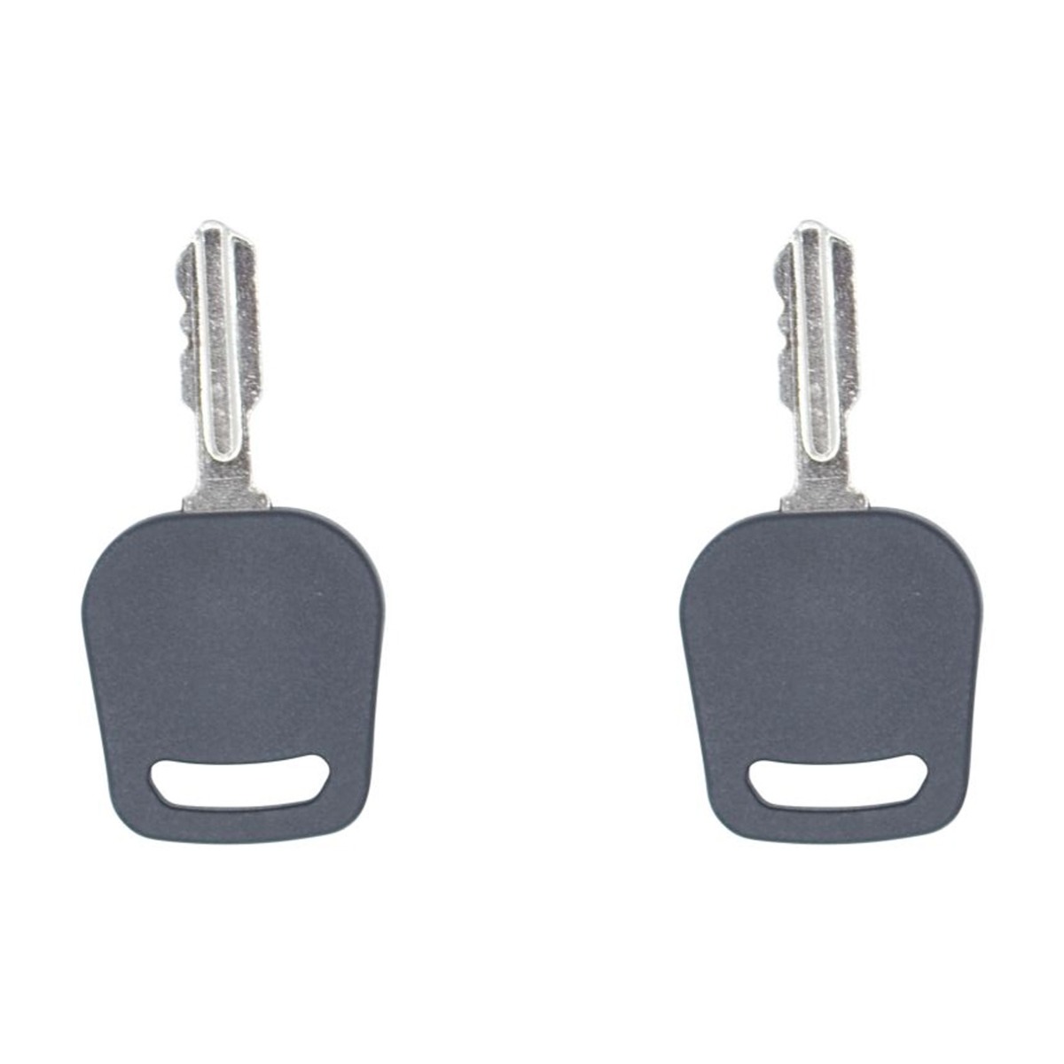 Zündschlüssel 2St. 042-9000-00 für Bad Boy