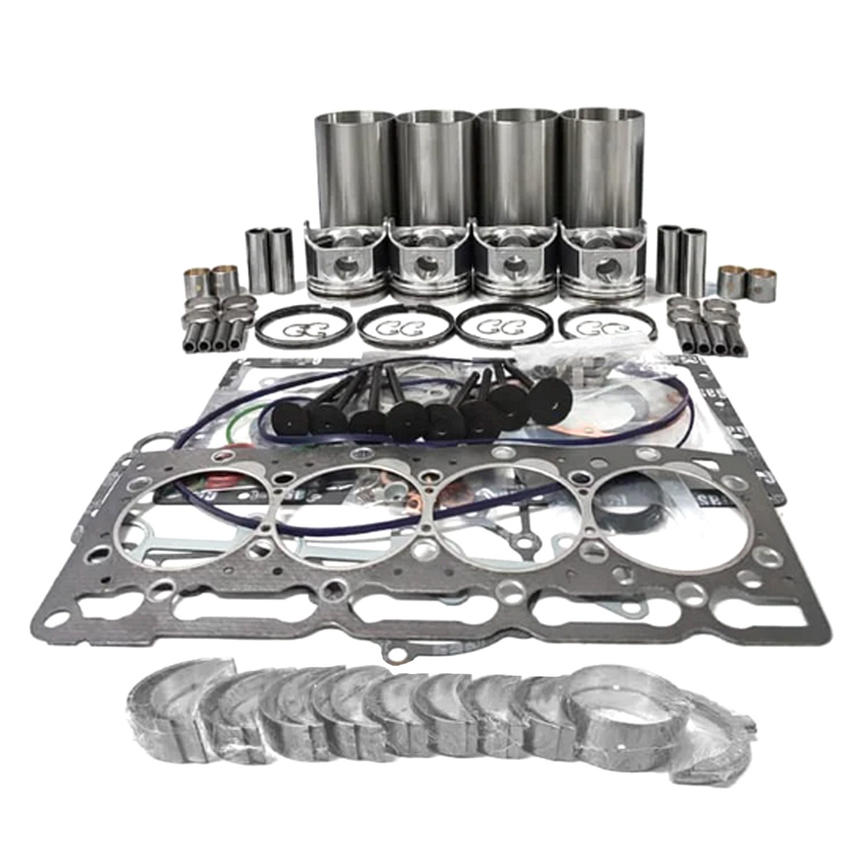 Überholungs- und Umbausatz STD für Nissan BD30