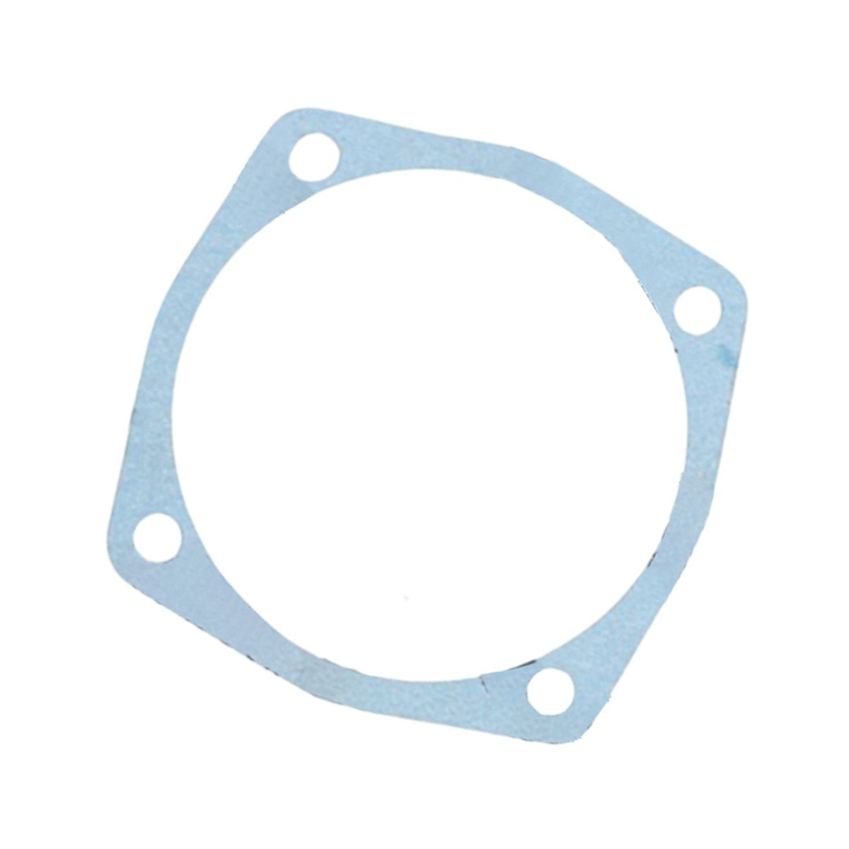 Dichtung 2905-2202 für Mahindra main product photo