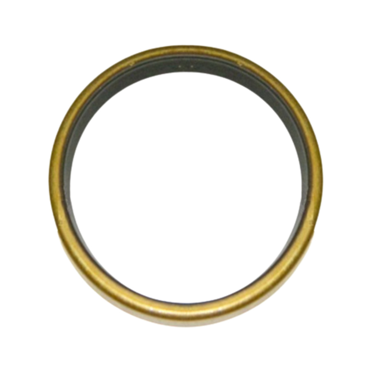 Untere Drehbolzendichtung 6631067 für Bobcat