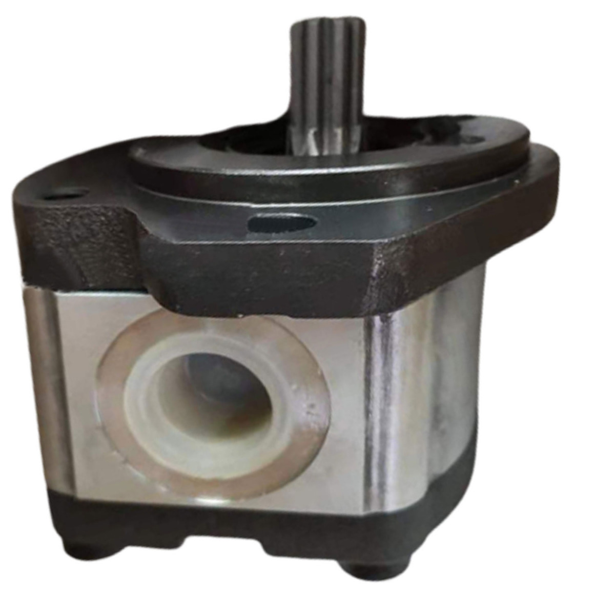 Zahnradpumpe 00001297 für Dingli