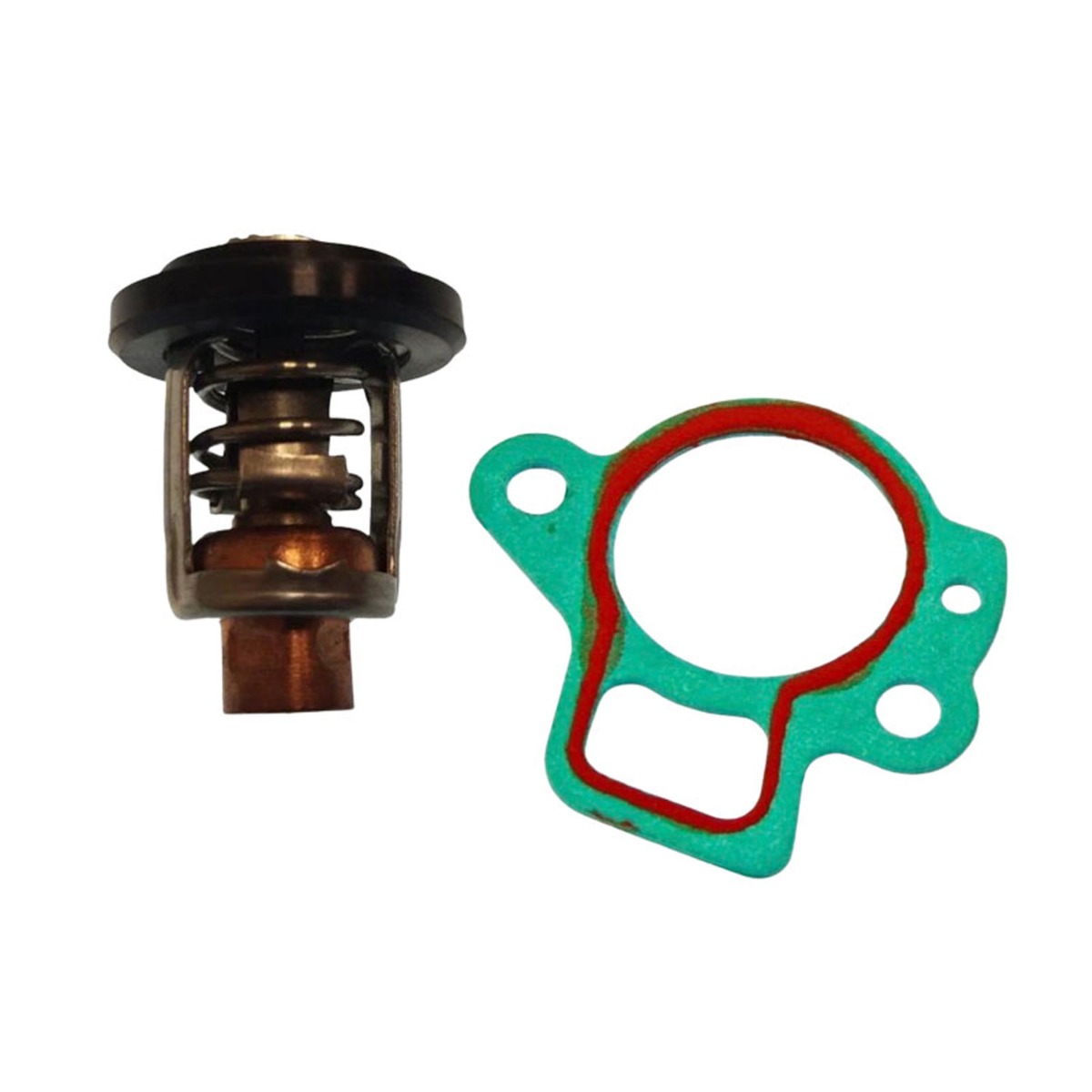 Thermostat Dichtungssatz 66M-12411-00 für Yamaha