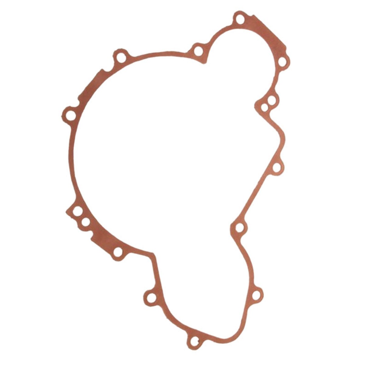 Zündstatordeckeldichtung 5813505 für Polaris