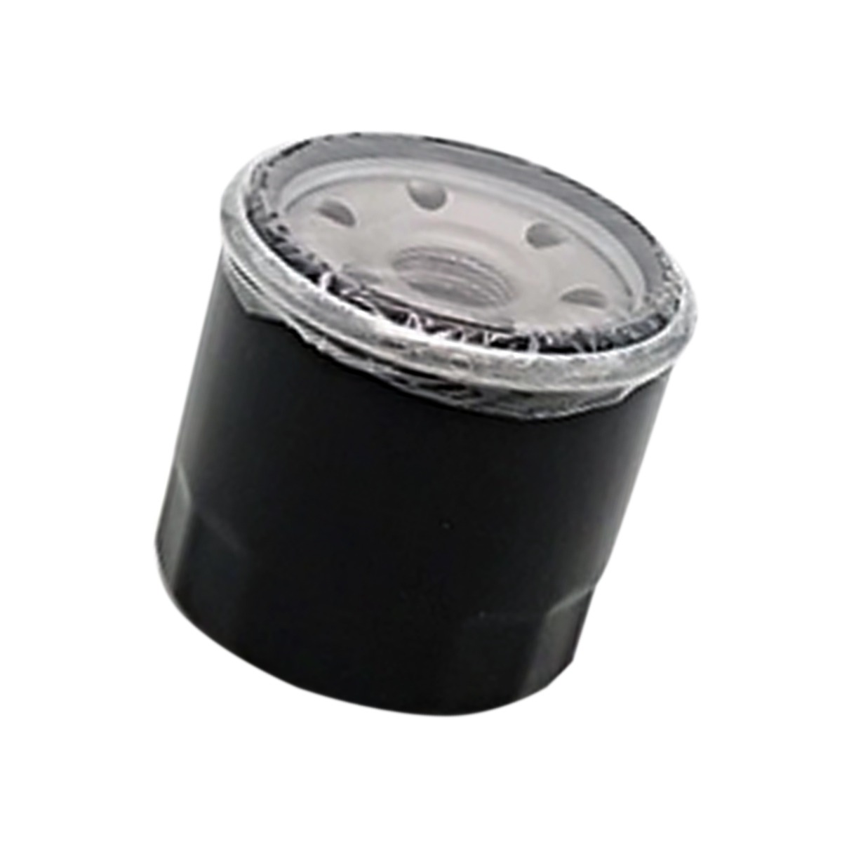 Ölfilter 15200-003-0000 für Hisun