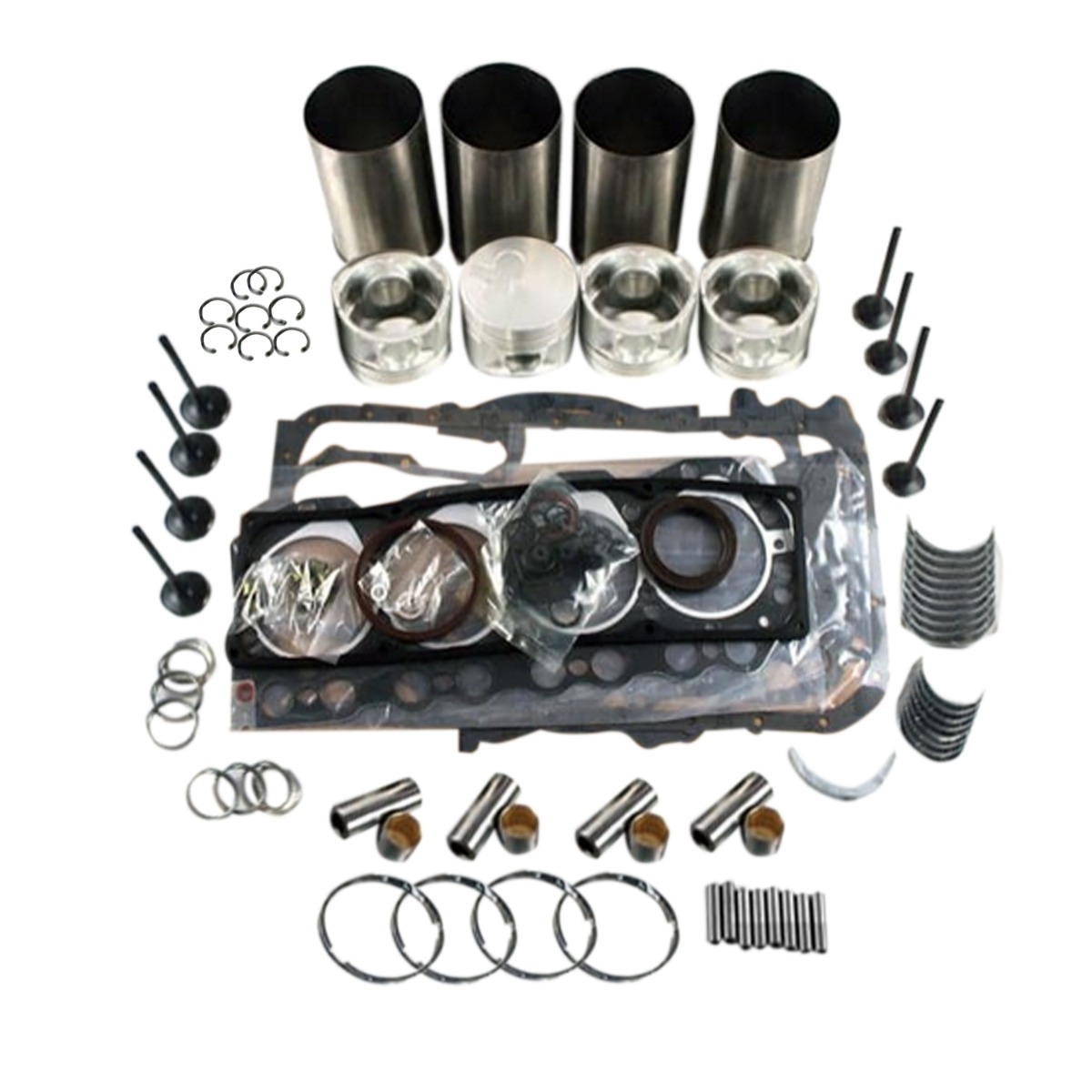 Überholungs- und Umbausatz für JCB