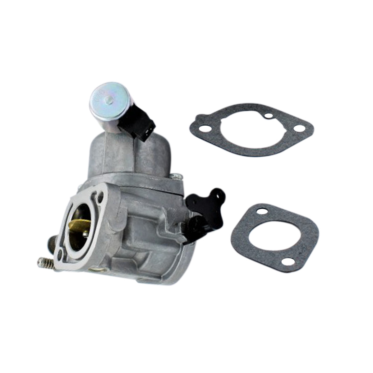 Vergaser 594207 für Intek
