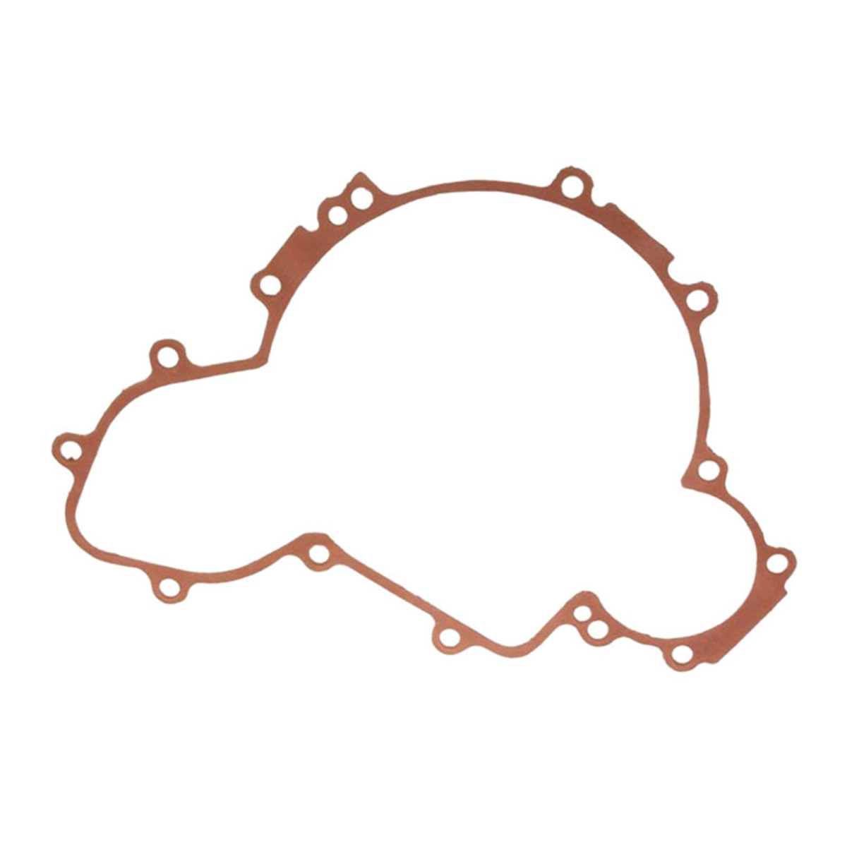 Zündstatordeckeldichtung 5813505 Für Polaris