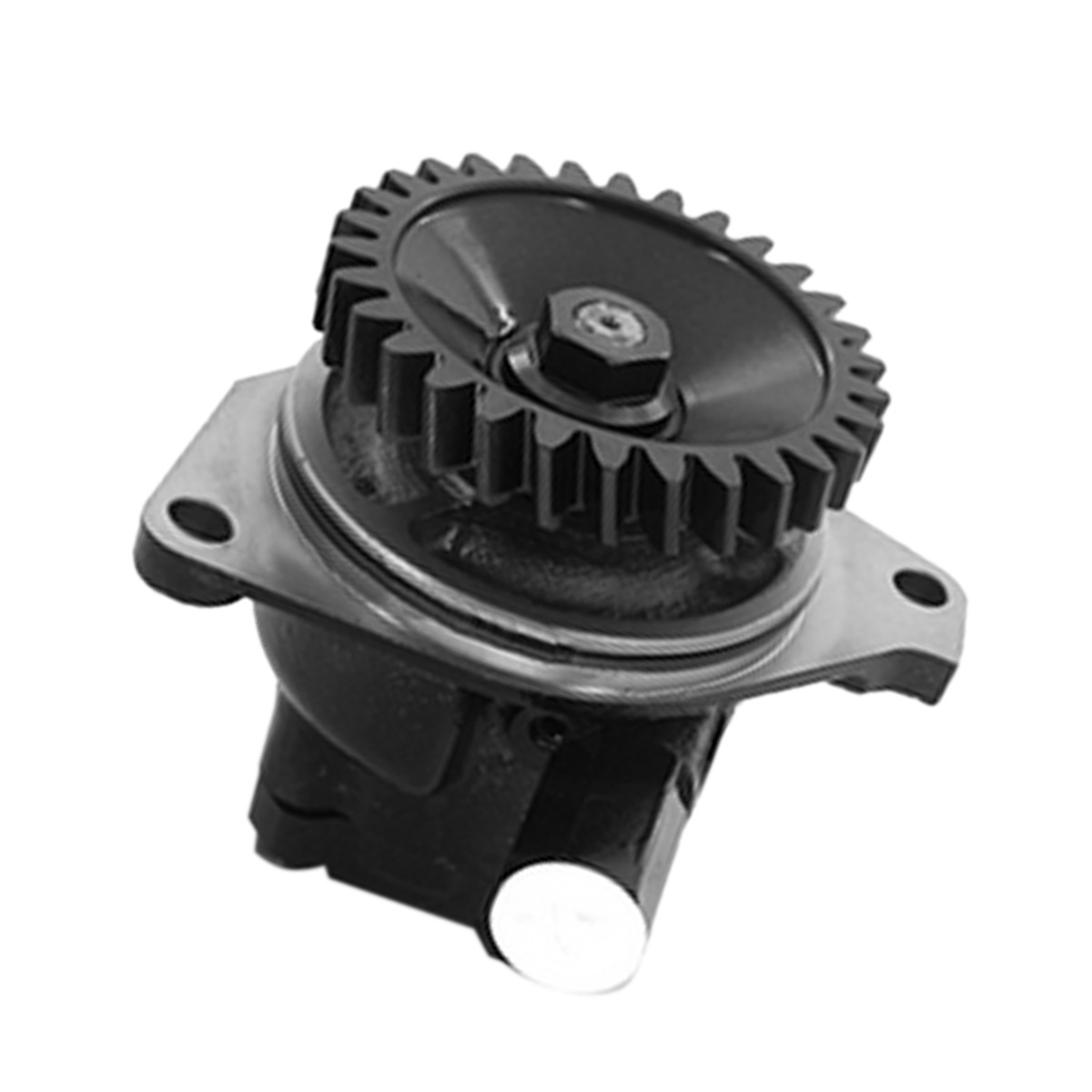 Ölpumpe für Servolenkung 1-19500456-0 für Isuzu