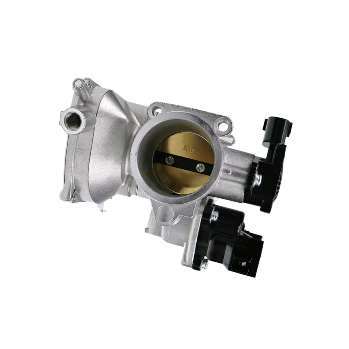 Drosselklappenbaugruppe 1204195 für Polaris