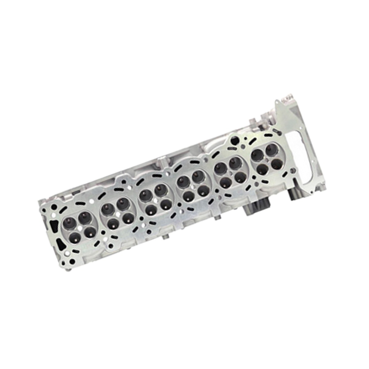 Kompletter Zylinderkopf 11041-VC200 Für Nissan