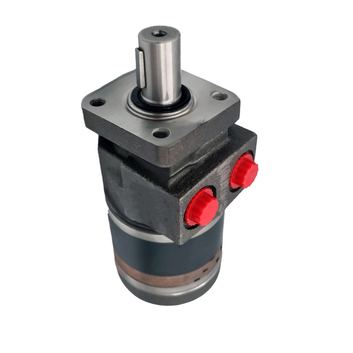 Zykloidenmotor TB0295FP100AAAA TB0295FP100AAAB für Parker main product photo