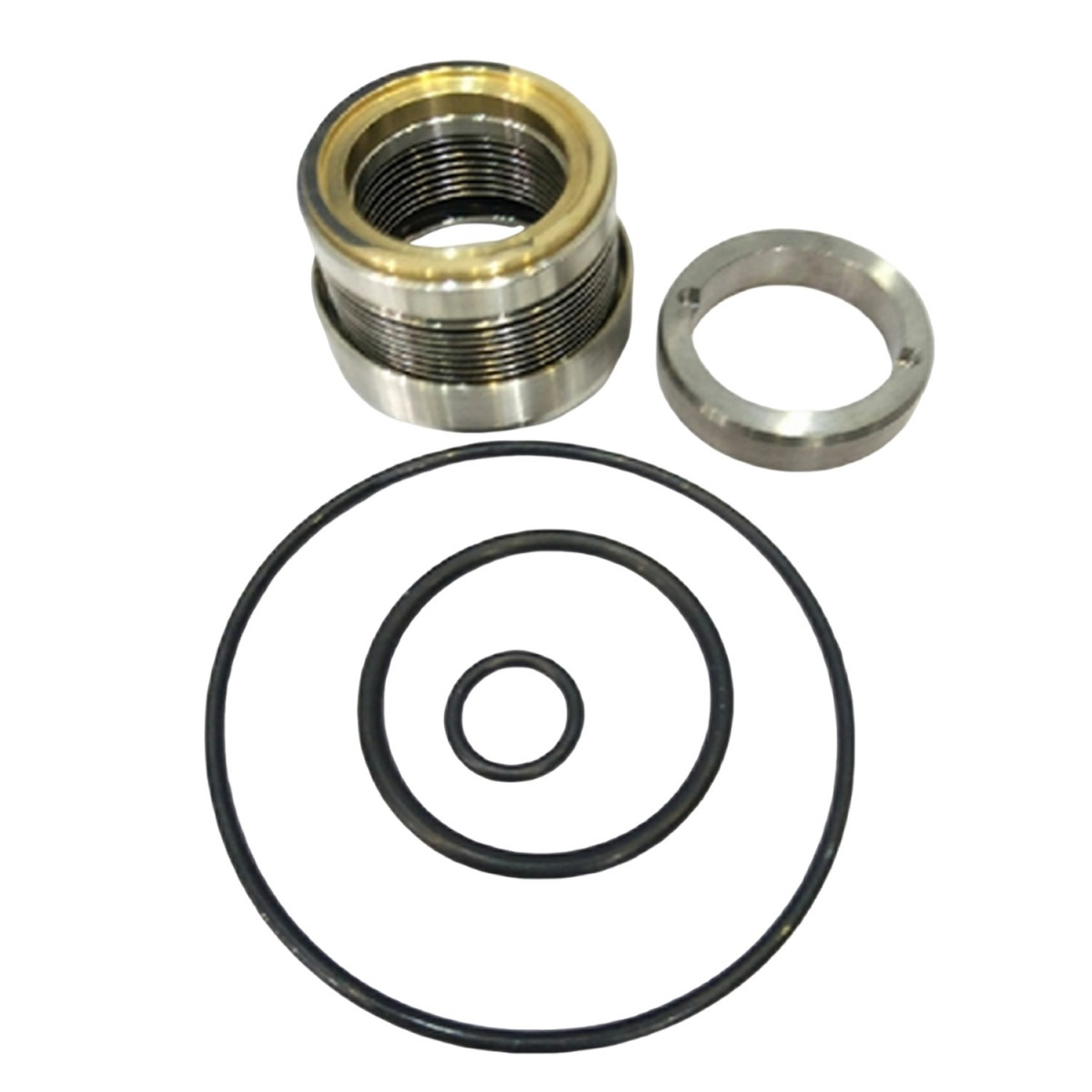 Wellendichtungssatz 22-1318 für Thermo King