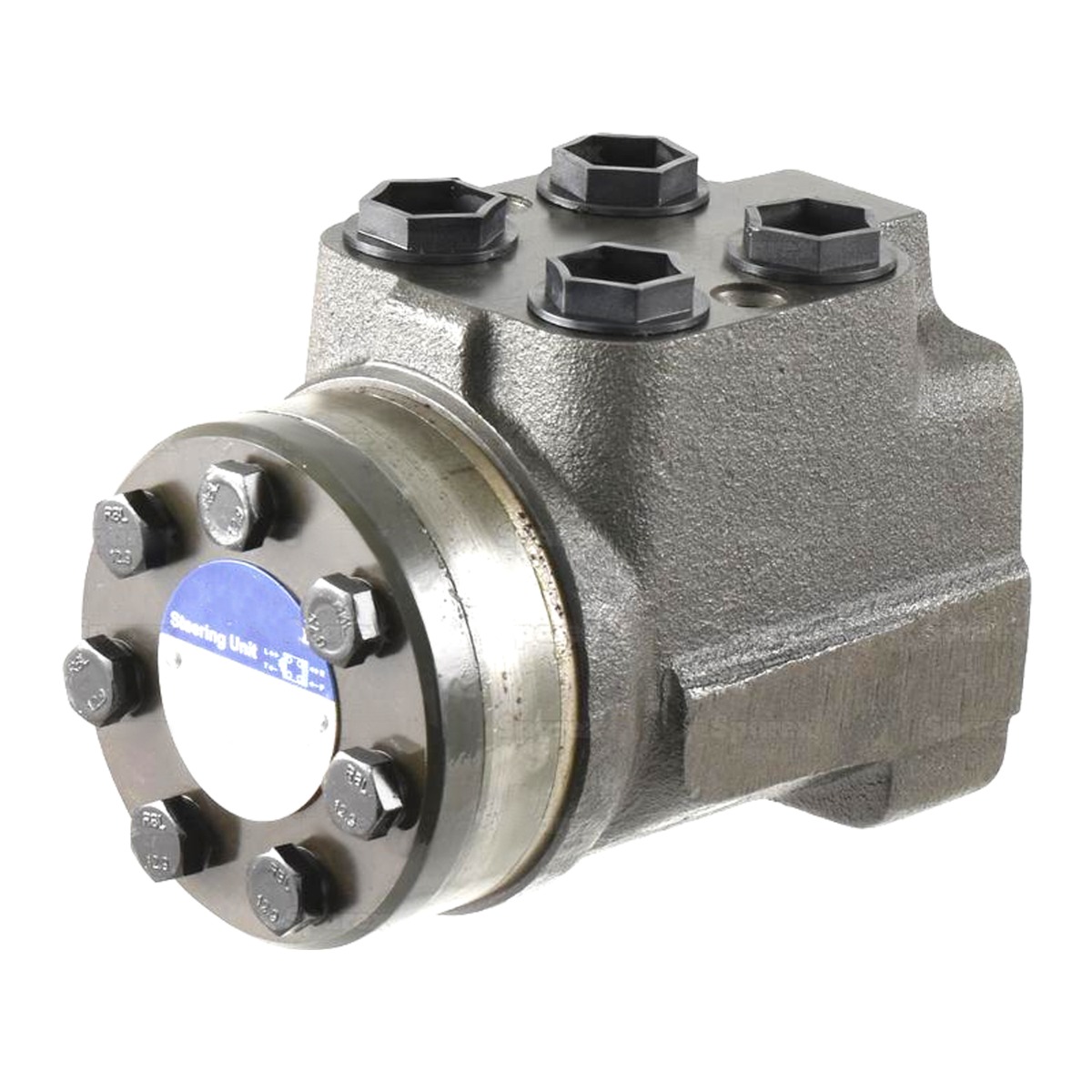 Servolenkungsmotor 1695445M9 Für Massey Ferguson