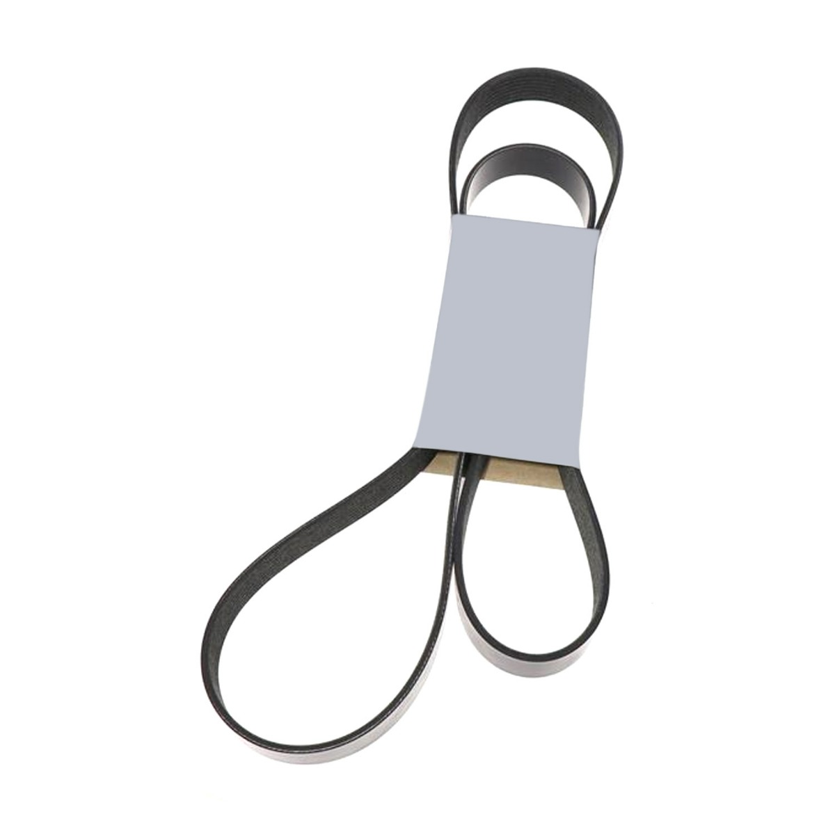 Serpentinenriemen 5080695 für Freightliner