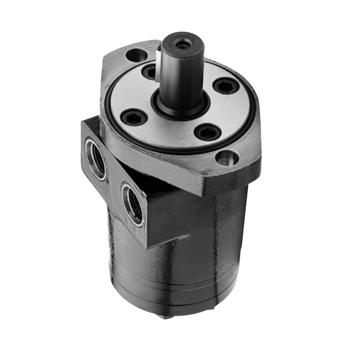Zykloidenmotor TB0165AP100AAAA TE0165AP100AAAA TB0165AP100AAAB für Parker