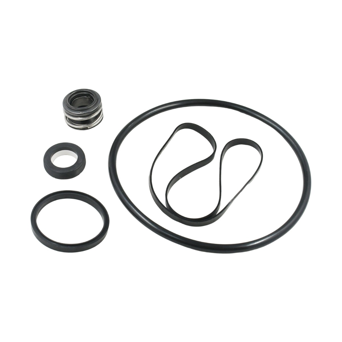 O-Ring-Reparatur-Wellendichtungsbaugruppe PS-201 für Hayward