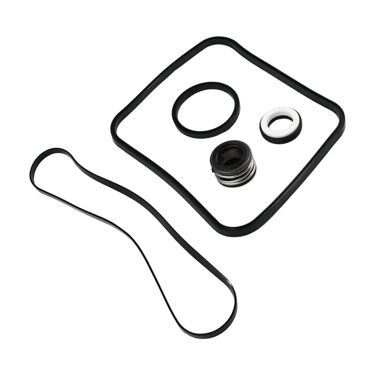 Poolpumpen-Dichtungssatz SPX1600TRA für Hayward