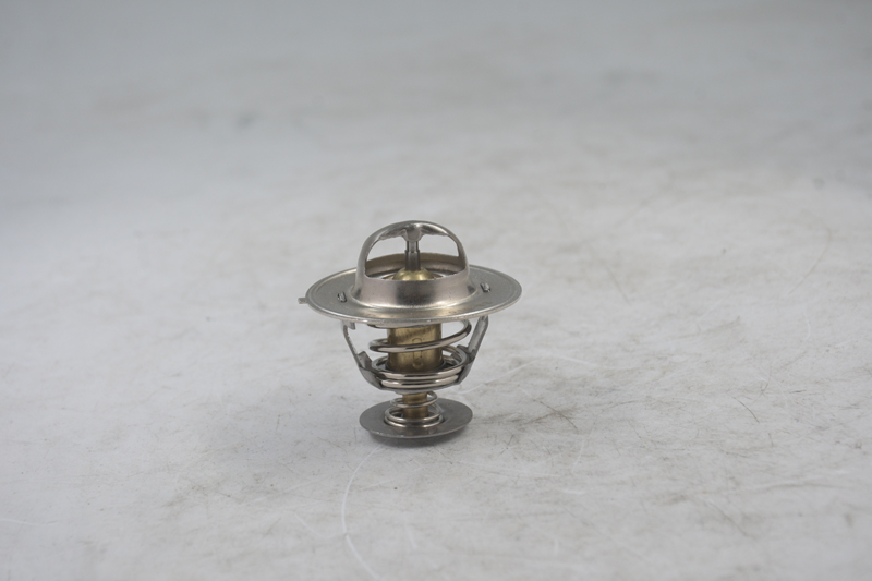 Thermostat A77736 47616858 3802273 Für Case